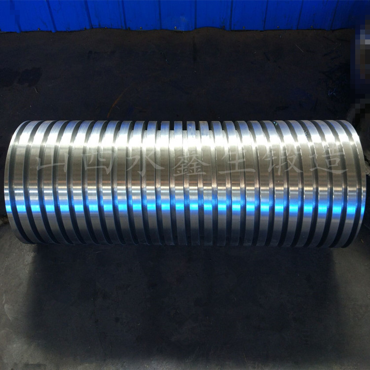 鍛造不銹鋼轉(zhuǎn)子